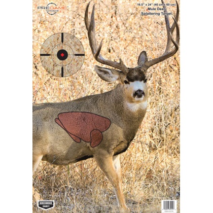 B-c Target Pregame 16.5\