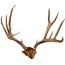 Skull Hooker Skull Cap For Use - W-skull Hooker Bone Bracket!
