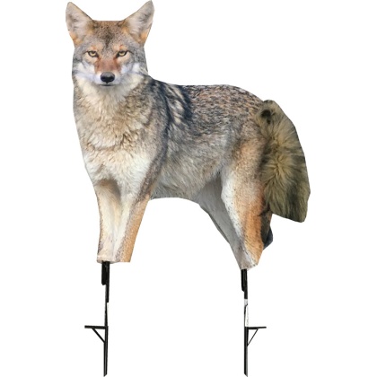 Montana Decoy Coyote Song Dog -