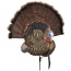 Avian X Trophy Tom Decoy -