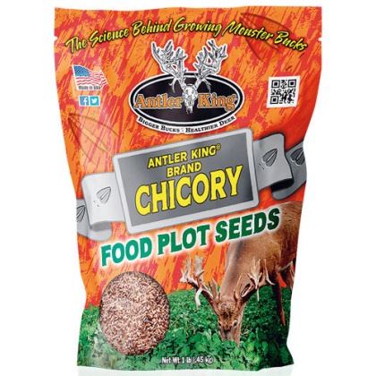 Antler King Chicory 1# Bag - Perennial 1-4 Acre