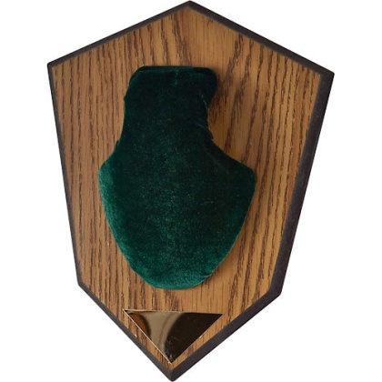 Allen Antler Mounting Kit - Green