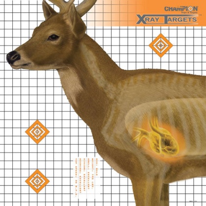 Champion X-ray Target Deer - 25